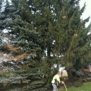 Meet your Posher, Billy